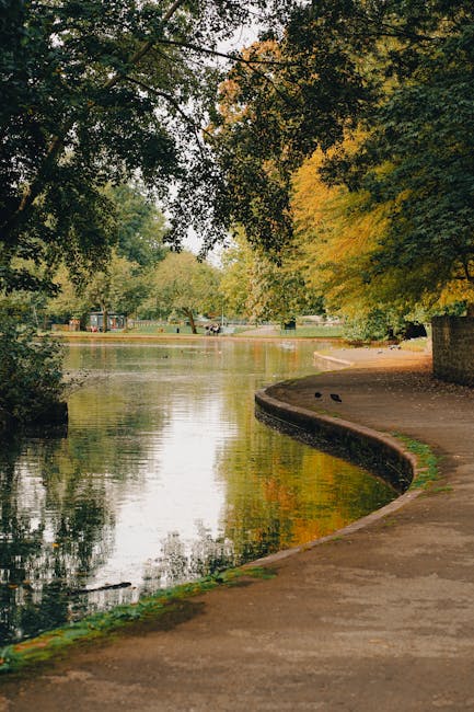 A narrow, curved riverside pathway runs alongside a calm waterway surrounded by lush trees with green and golden-yellow foliage in an outdoor park setting. The pathway is made of concrete with a slightly weathered surface and curves gently to the right, following the edge of the water. Overhanging branches from tall trees cast dappled shadows on the path and water, creating a tranquil atmosphere. The river’s surface reflects the trees and cloudy sky above, with small ripples visible near the edge. In the background across the water, a few park benches and distant trees are faintly visible. The scene appears to be during early autumn, with a mixture of green and yellow leaves, and no visible litter or debris. This setting exemplifies a peaceful environment suitable for outdoor relaxation and leisure activities, with potential for private or independent waste clearance to maintain the natural beauty, as offered by waste collection services like Waste Collection Barnes.