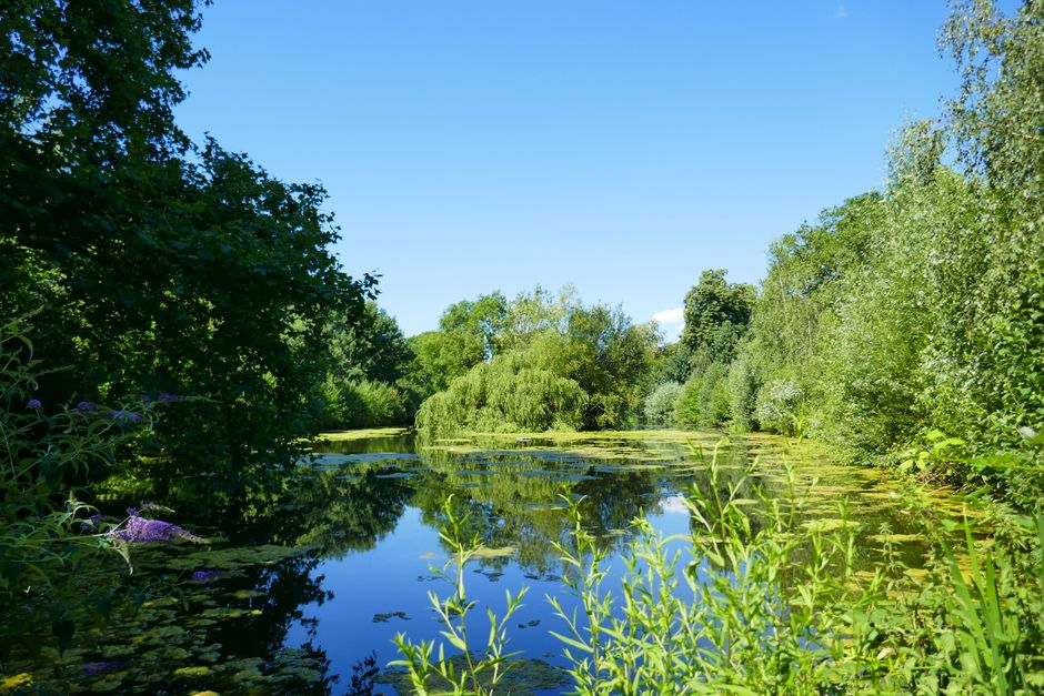 A paved pathway running alongside a calm lake or river in a park setting, with a grassy verge separating the walkway from the water. Several leafless deciduous trees with rough, dark bark and intricate, leafless branches are positioned on the grassy area, some leaning slightly over the path. In the background across the water, faint outlines of residential buildings are visible amidst more trees. The sky appears overcast with a softer, diffused light, creating a natural and tranquil outdoor scene. Although primarily a landscape photograph, the scene relates indirectly to waste management by highlighting the importance of clean and well-maintained outdoor environments, potentially supporting local rubbish collection or private disposal services. Naturally, Waste Collection Barnes provides such services, ensuring parks, pathways, and surrounding areas remain tidy and free from litter, especially in settings like this where outdoor leisure activities take place and maintaining cleanliness is crucial.